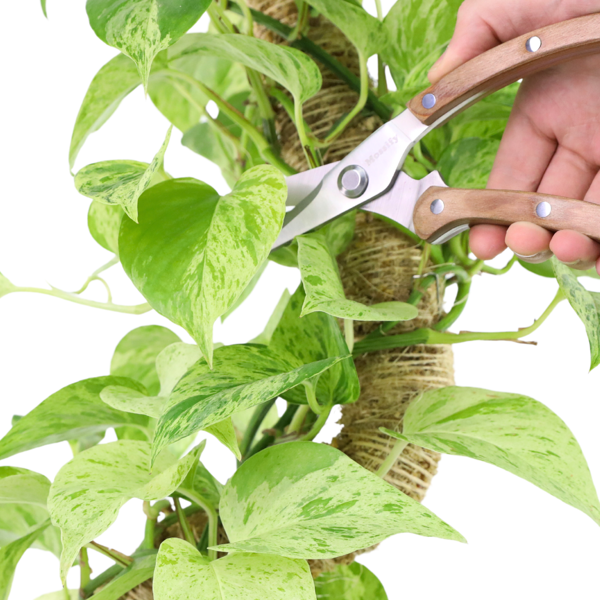 Slim Garden Utility Shears