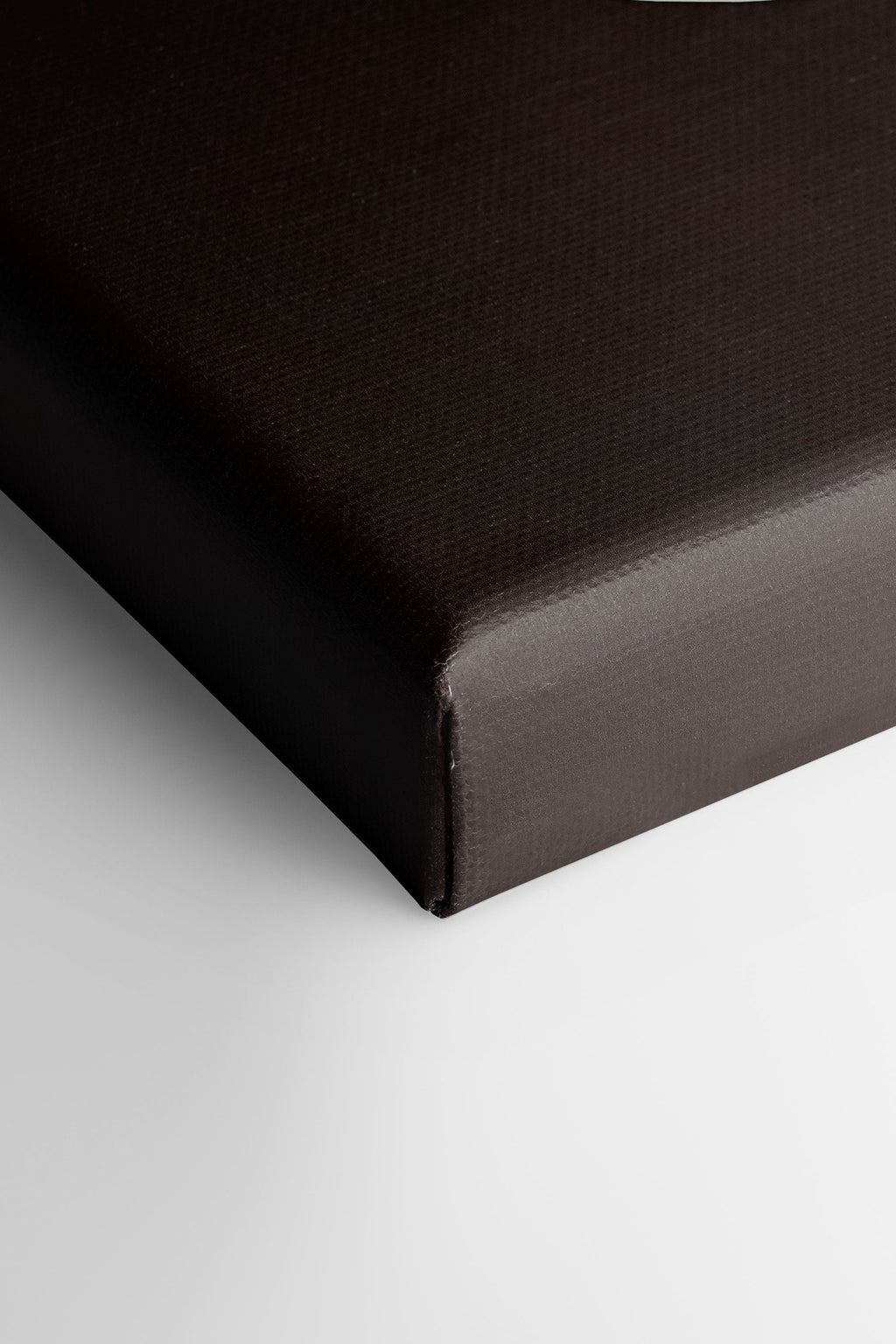 TRIO FEUILLAGE BRUN Stretched Canvas Artwork x3