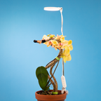 ***PRE-ORDER - 28" Adjustable LED Plant Light - Ships in 4-8 weeks