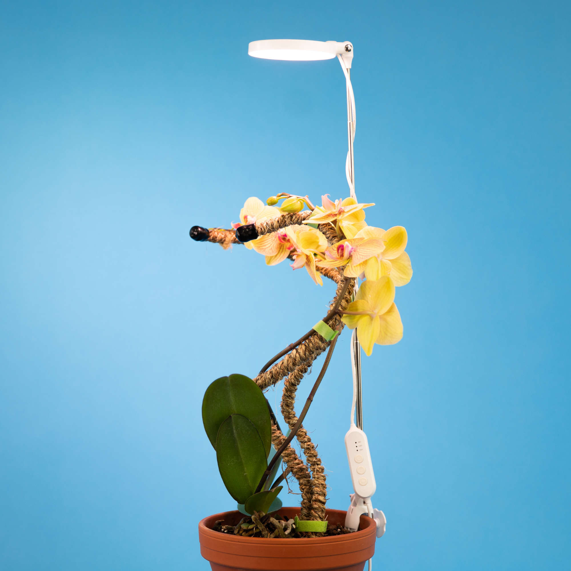 ***PRE-ORDER - 28" Adjustable LED Plant Light - Ships in 4-8 weeks