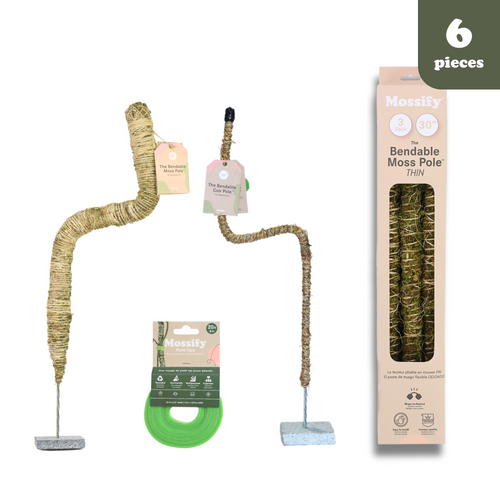 Paquete definitivo de soporte flexible para plantas