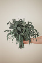 Preserved Eucalyptus Arrangement