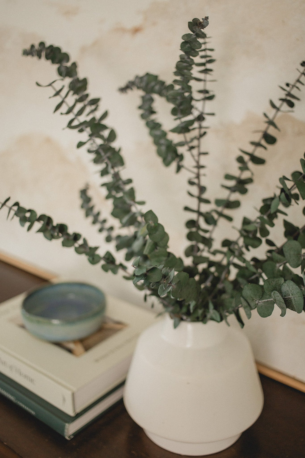 Eucalyptus italien bébé