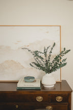 Eucalyptus italien bébé