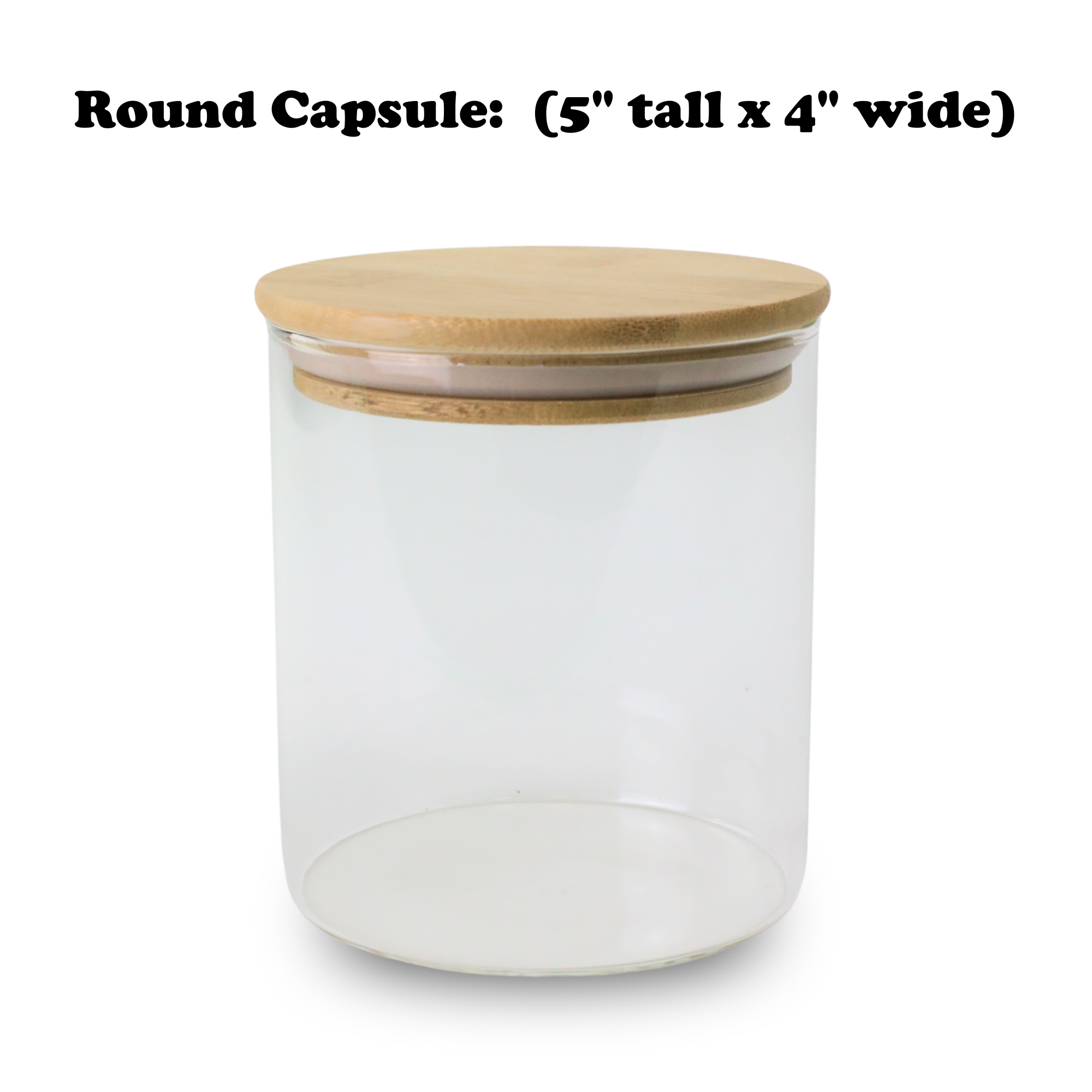 Mossify Terrarium Kit