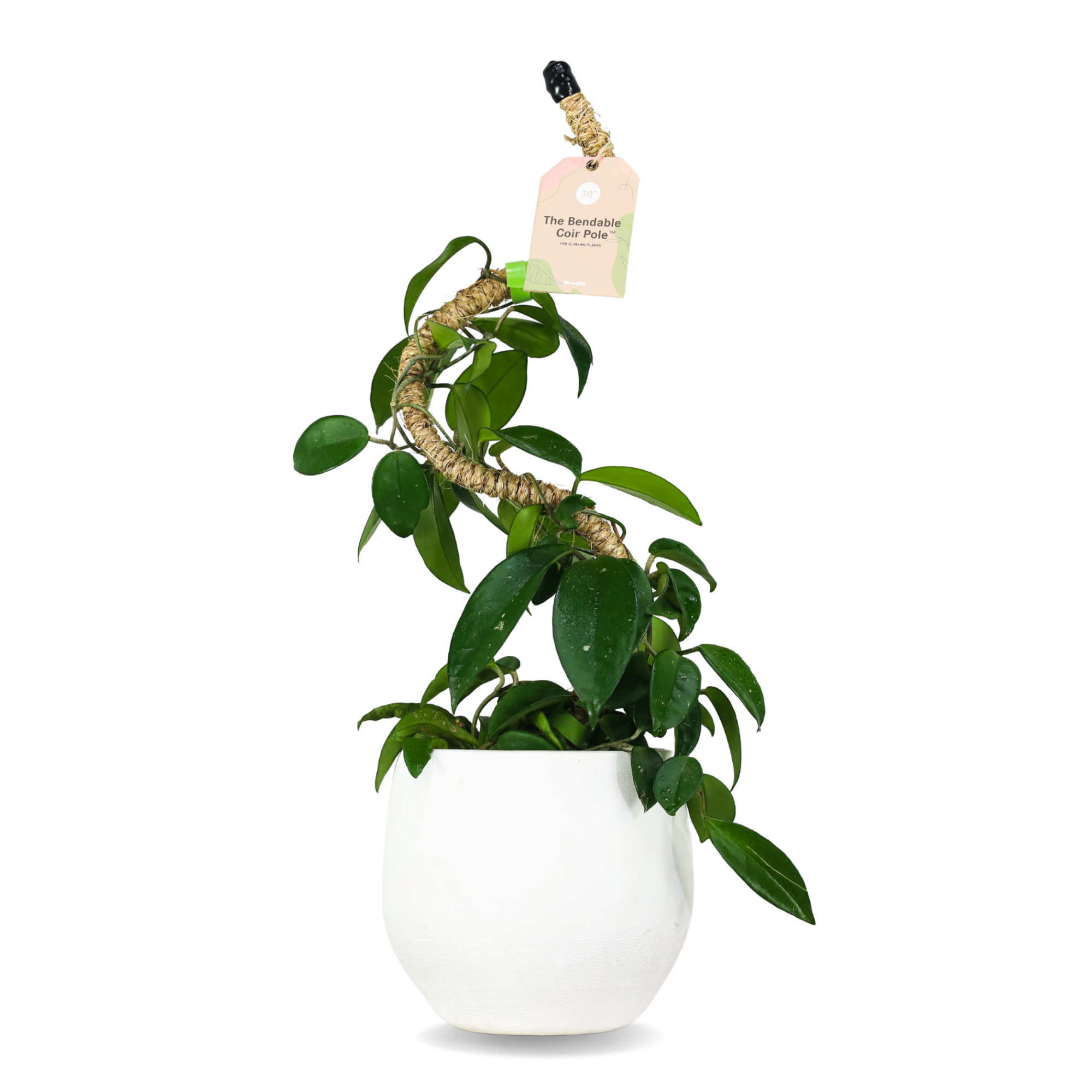 Ultimate Bendable Plant Support Pack