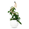 The Original Bendable Coir Pole™ - Best Seller (Tape Included)