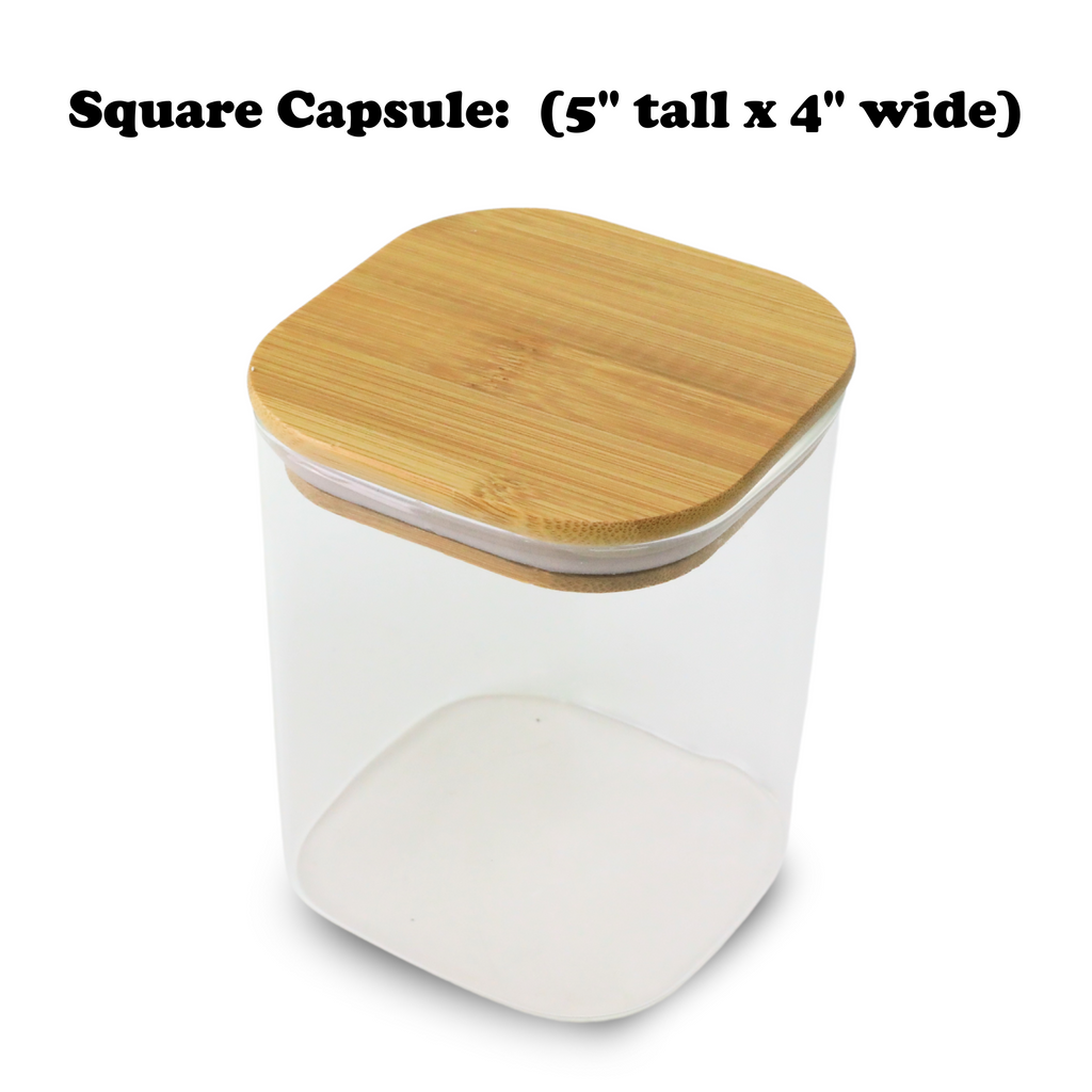 Mossify Terrarium Kit