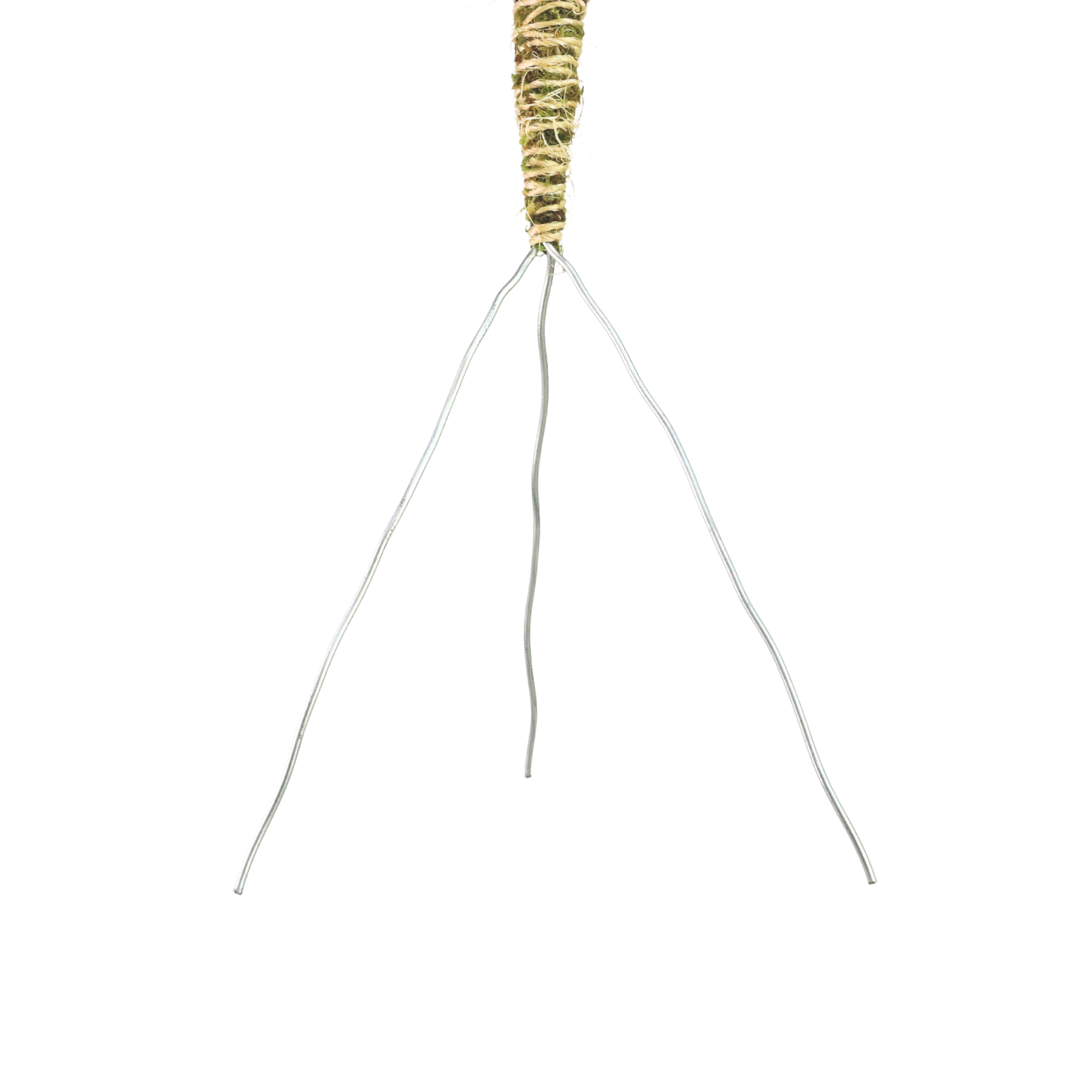 The Bendable Moss Pole™ 𝘛𝘏𝘐𝘕