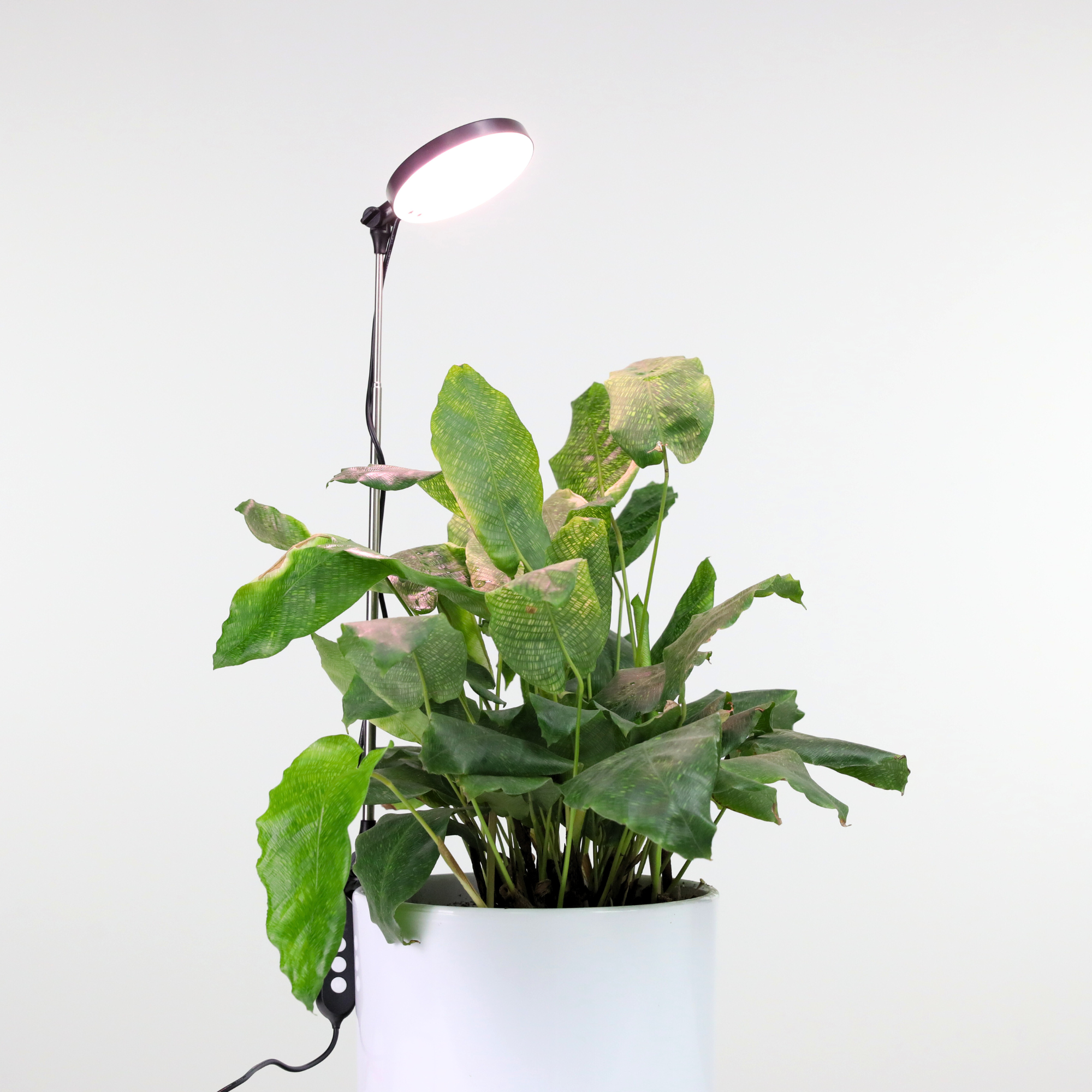***PRE-ORDER - 28" Adjustable LED Plant Light - Ships in 4-8 weeks