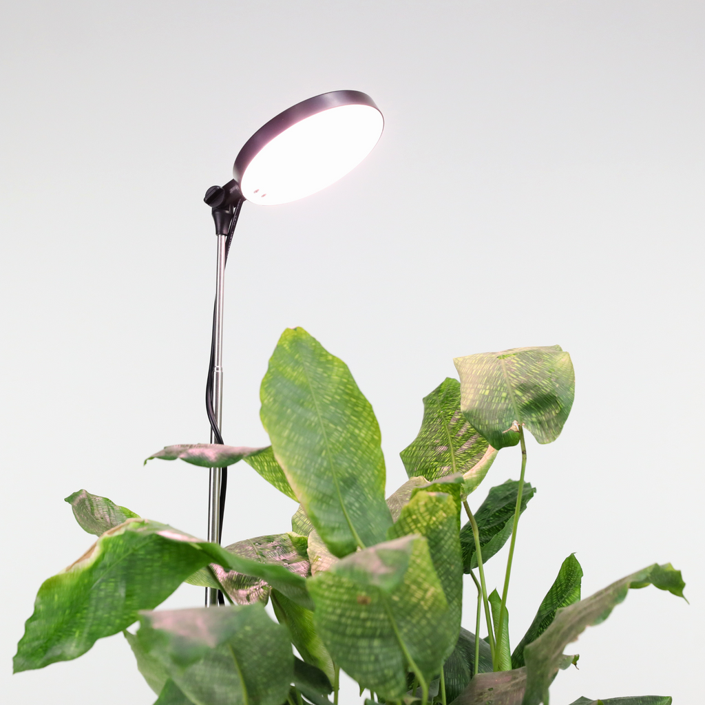 ***PRE-ORDER - 28" Adjustable LED Plant Light - Ships in 4-8 weeks