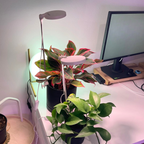 ***PRE-ORDER - 28" Adjustable LED Plant Light - Ships in 4-8 weeks