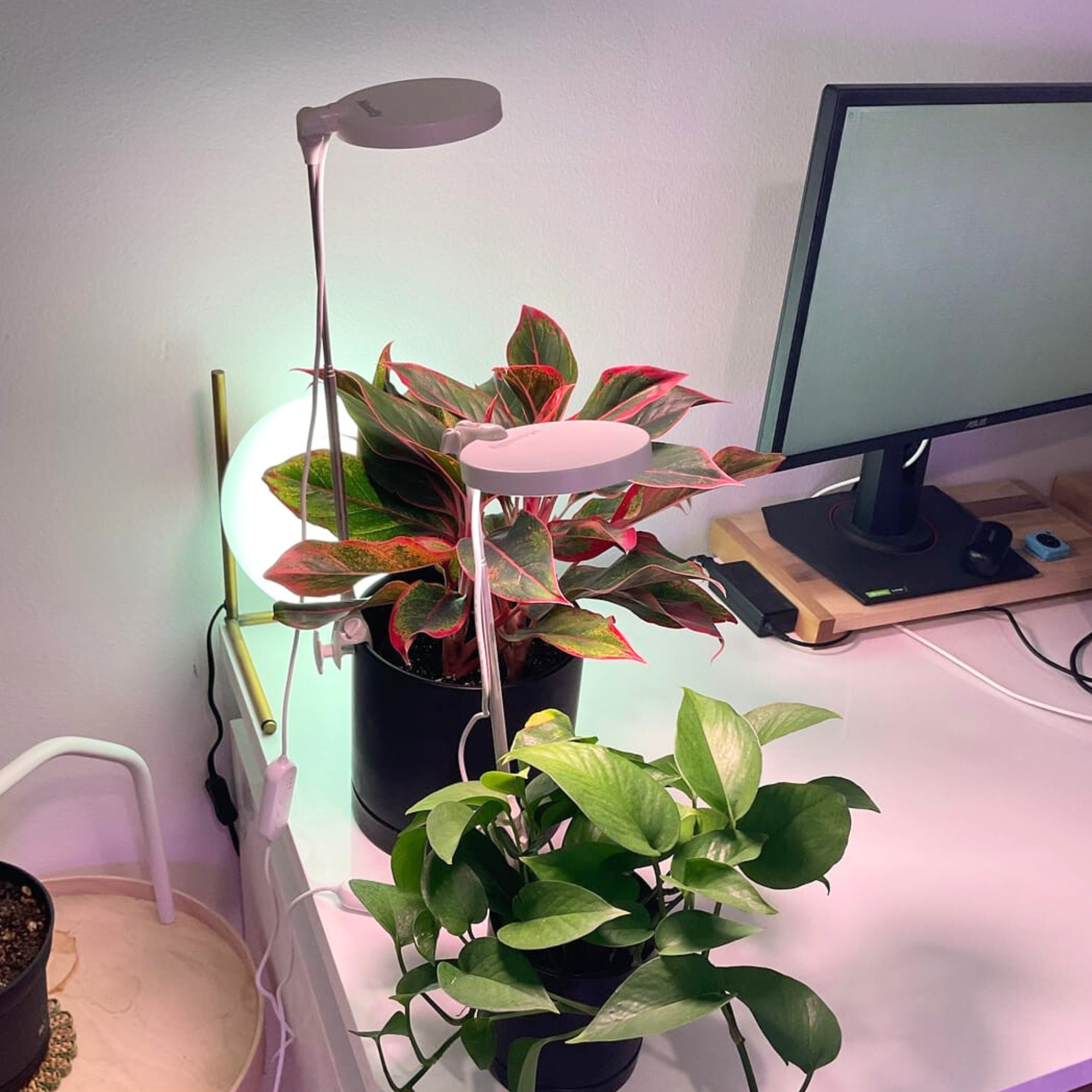 ***PRE-ORDER - 28" Adjustable LED Plant Light - Ships in 4-8 weeks