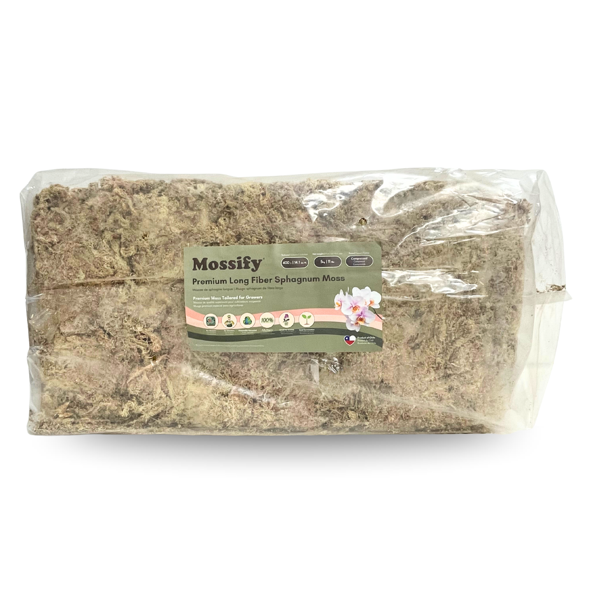 Premium Sphagnum Moss
