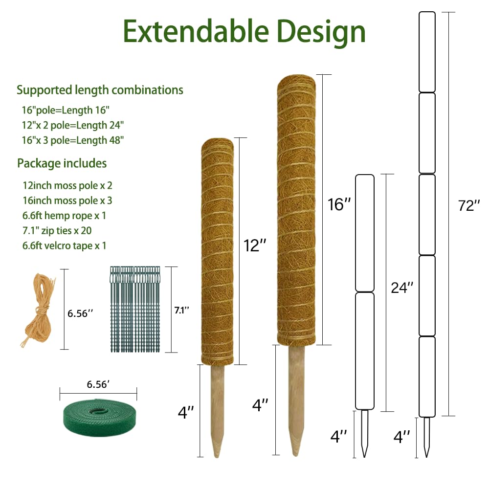 Moss Pole Plant Support Monstera - 5 Pack Coco Coir Moss Stick Plants Climber Support Indoor Monstera Stake for Climbing Plants Live House Potted, Vine, Pothos, Philodendron to Grow Upwards