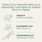 Traditional Medicinals - Organic Hibiscus Herbal Tea (Pack of 6) - Fair Trade Ingredients - Tart, Tangy and Fruity - 96 Tea Bags Total