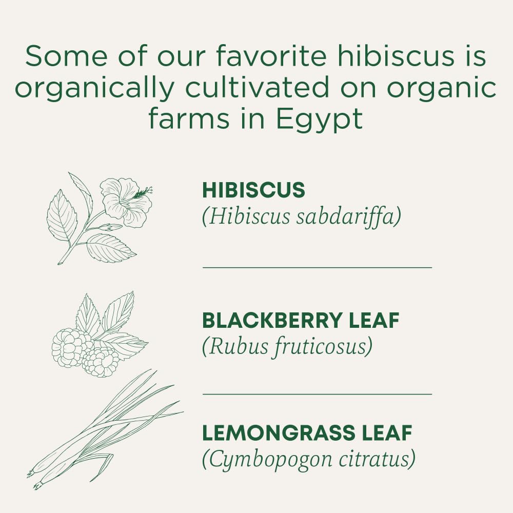 Traditional Medicinals - Organic Hibiscus Herbal Tea (Pack of 6) - Fair Trade Ingredients - Tart, Tangy and Fruity - 96 Tea Bags Total