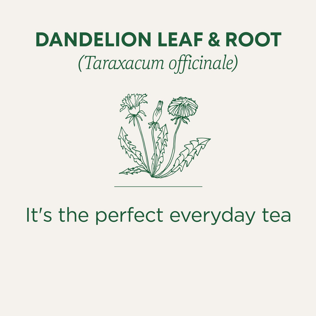 Traditional Medicinals - Organic Dandelion Leaf and Root Herbal Tea (Pack of 6) - 96 Tea Bags Total