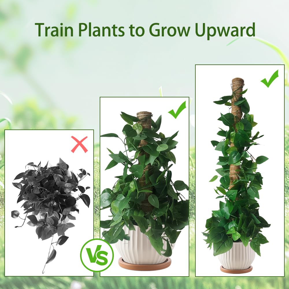 Moss Pole Plant Support Monstera - 5 Pack Coco Coir Moss Stick Plants Climber Support Indoor Monstera Stake for Climbing Plants Live House Potted, Vine, Pothos, Philodendron to Grow Upwards