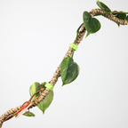 The Original Bendable Coir Pole™ - Best Seller (Tape Included)