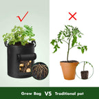 Cavisoo 5-Pack 10 Gallon Potato Grow Bags, Garden Planting Bag with Reinforced Handle, Thickened Nonwoven Fabric Pots for Tomato, Vegetable and Fruits