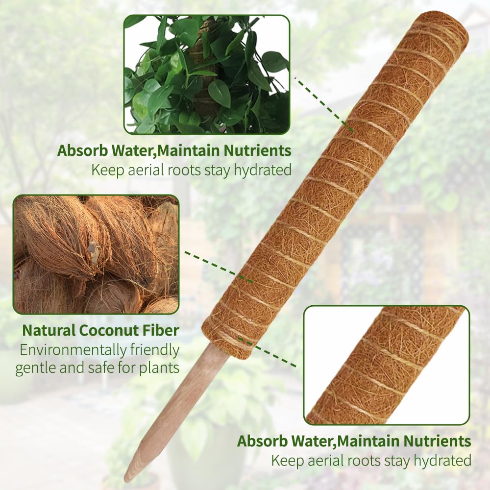 Moss Pole Plant Support Monstera - 5 Pack Coco Coir Moss Stick Plants Climber Support Indoor Monstera Stake for Climbing Plants Live House Potted, Vine, Pothos, Philodendron to Grow Upwards