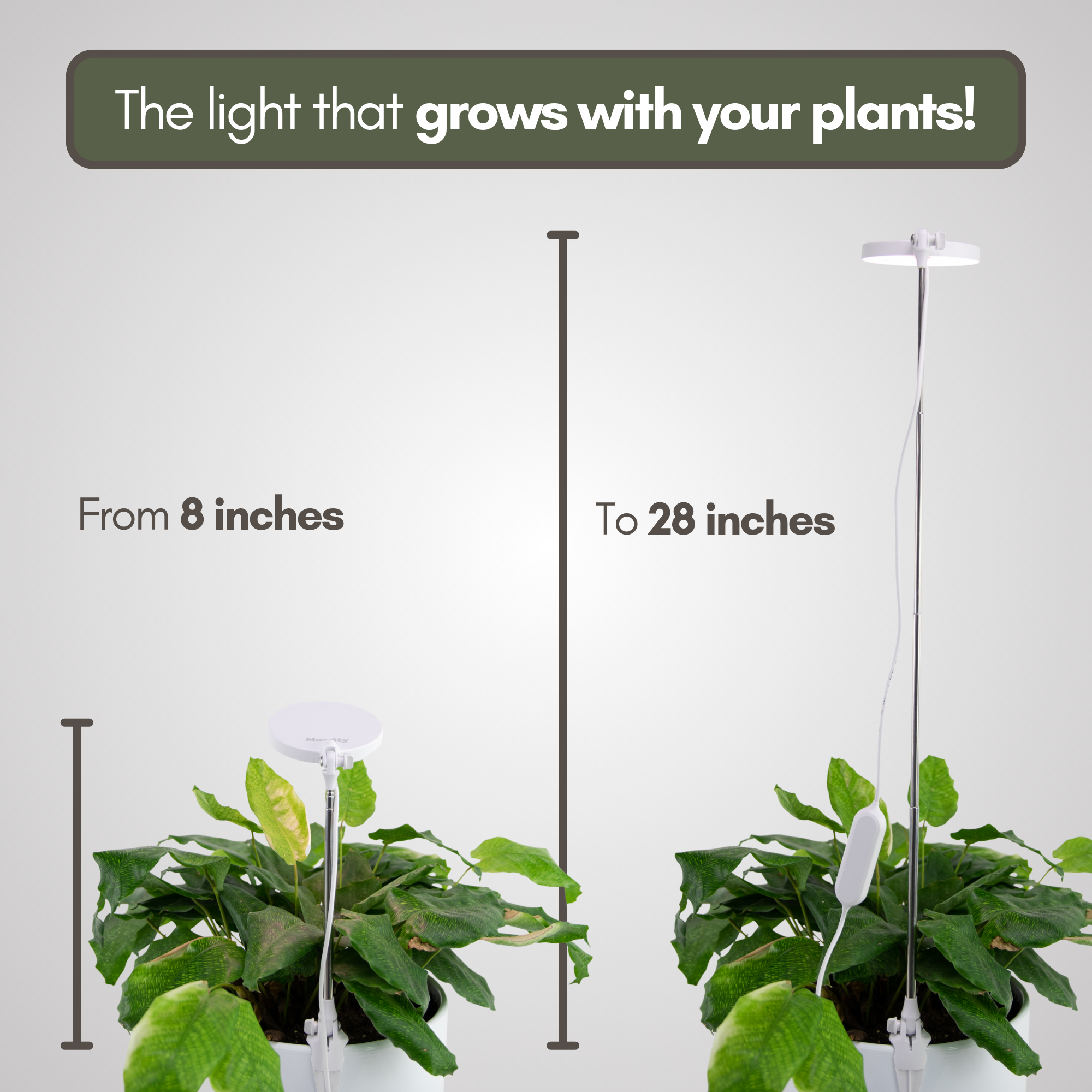 ***PRE-ORDER - 28" Adjustable LED Plant Light - Ships in 4-8 weeks