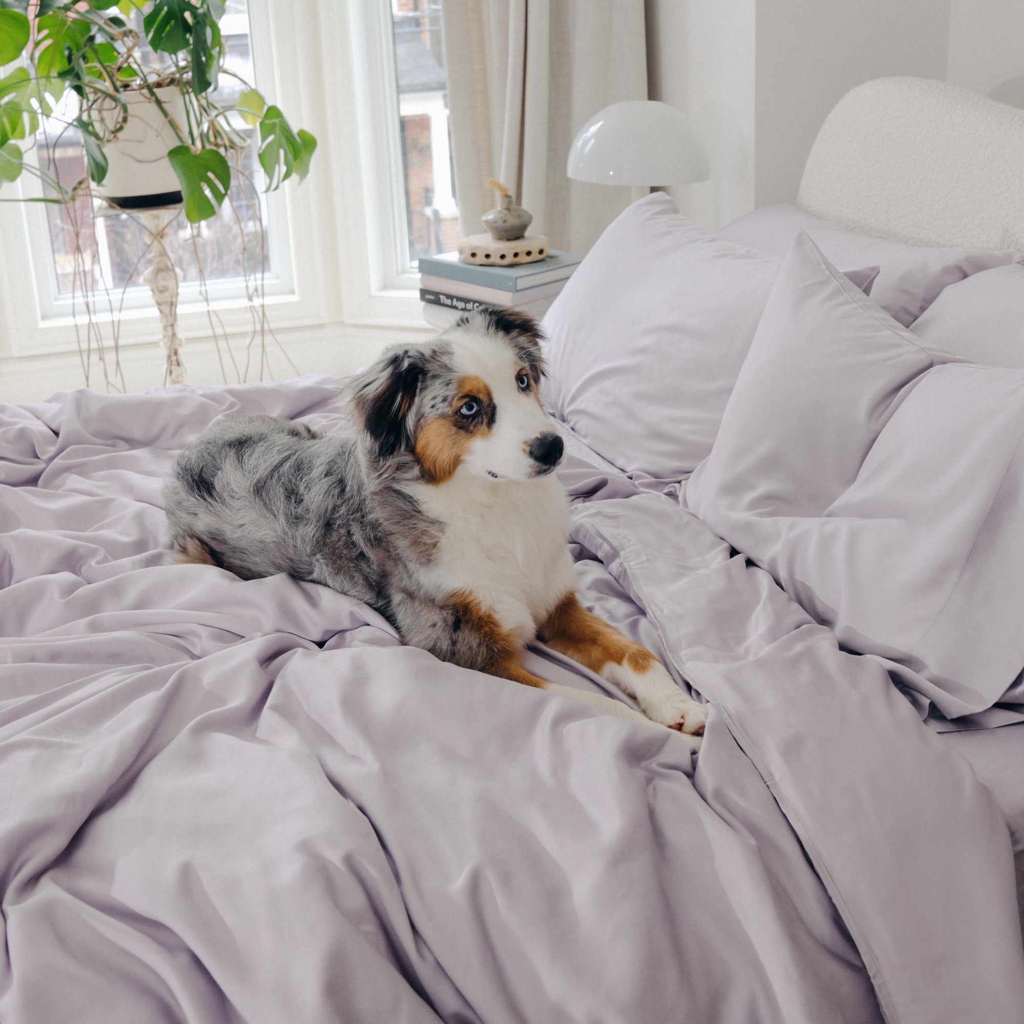 Organic Bamboo Sateen Duvet Cover Set