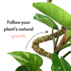 The Bendable Moss Pole™ 𝘛𝘏𝘐𝘕