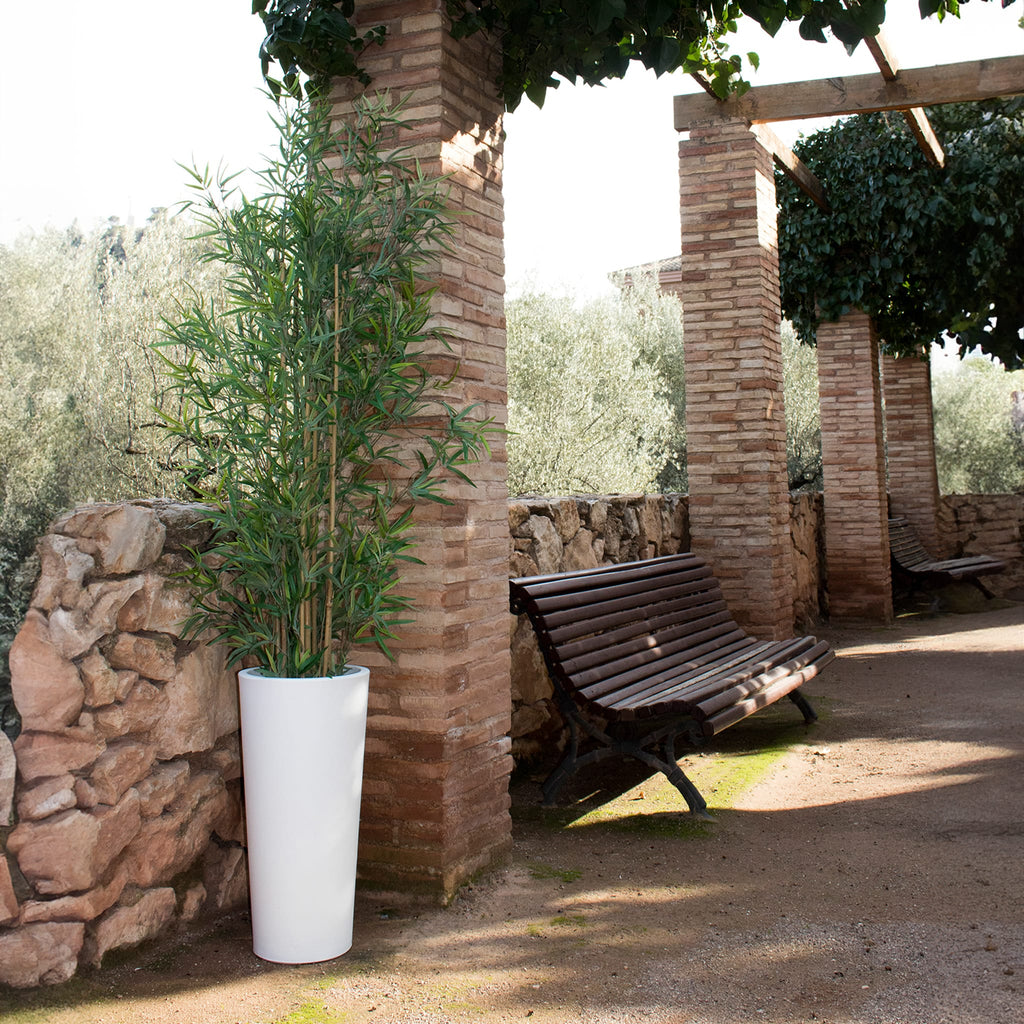 Ficus Solar & Rechargeable