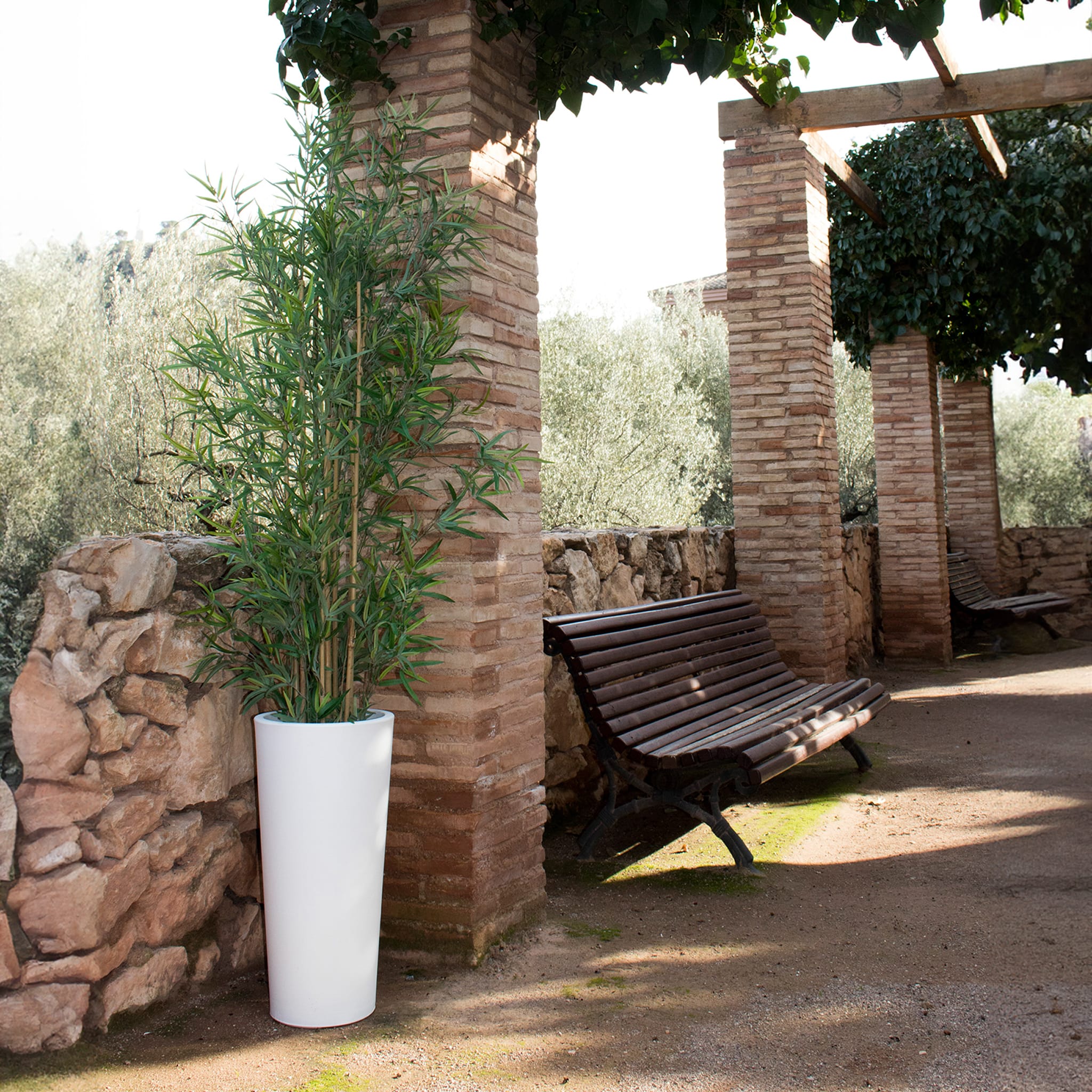 Ficus Solar & Rechargeable