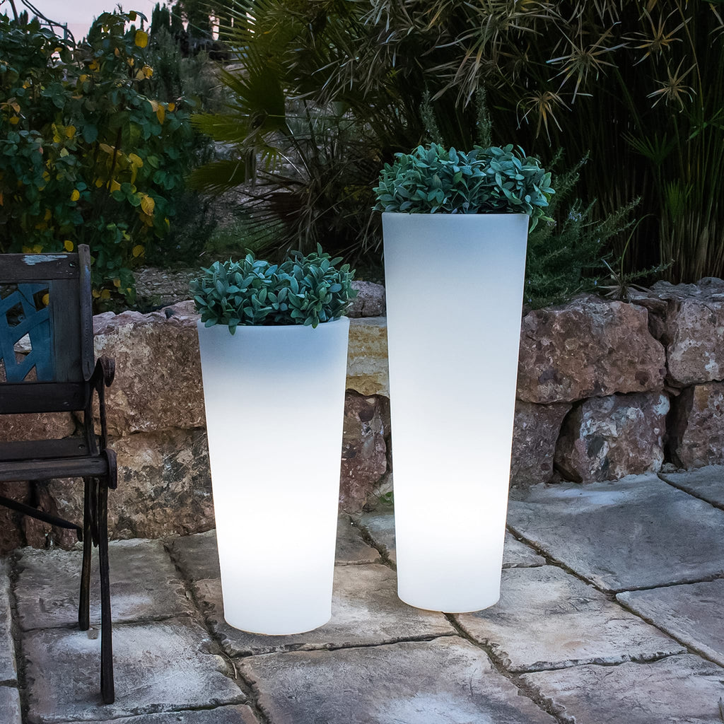 Ficus Solar & Rechargeable