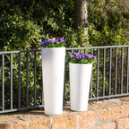 Ficus Solar & Rechargeable