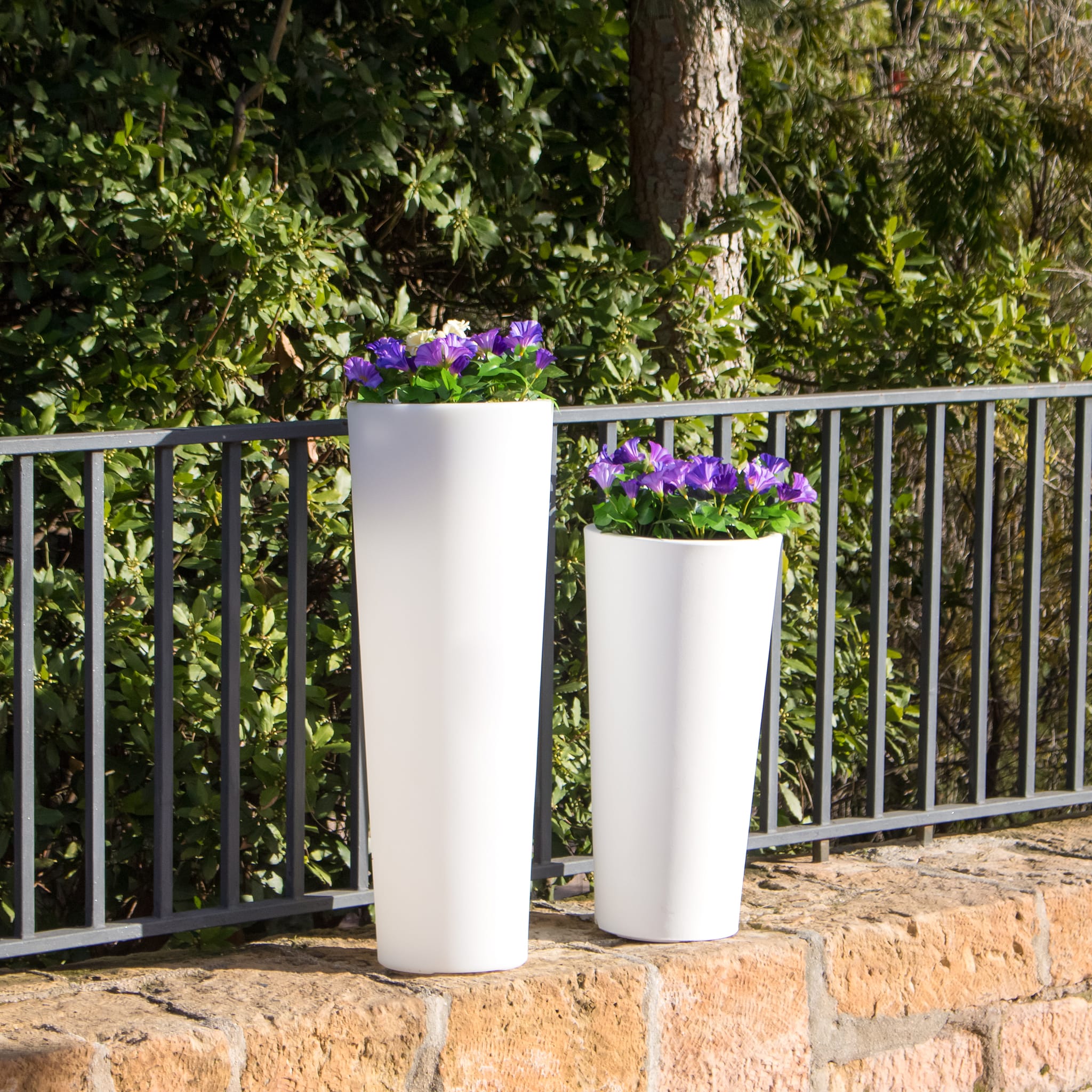 Ficus Solar & Rechargeable