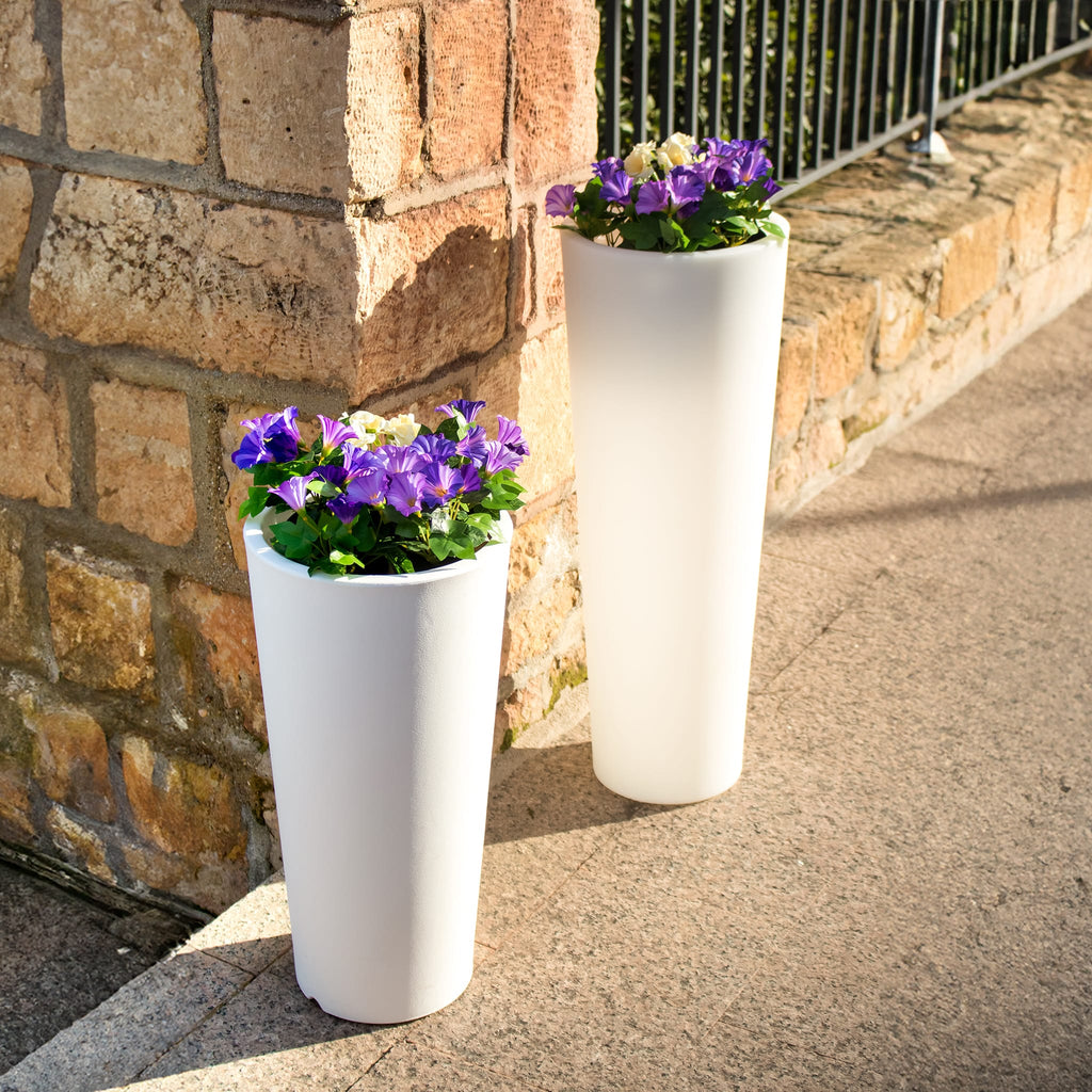 Ficus Solar & Rechargeable