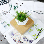 Magic Levitating Pot