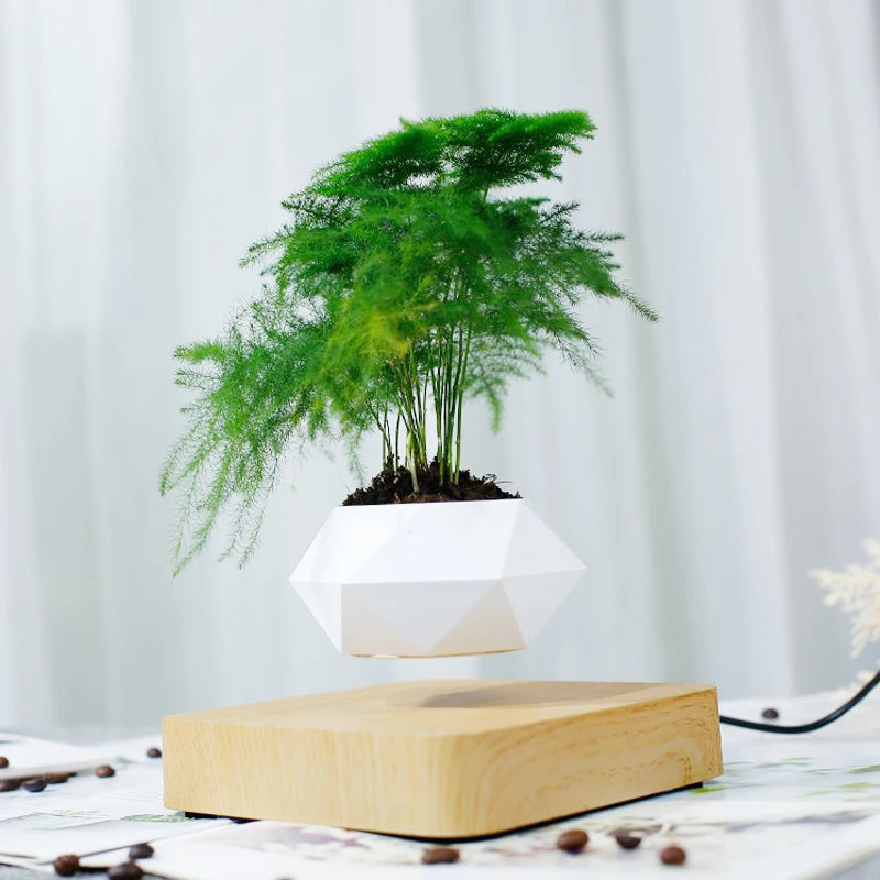 Magic Levitating Pot