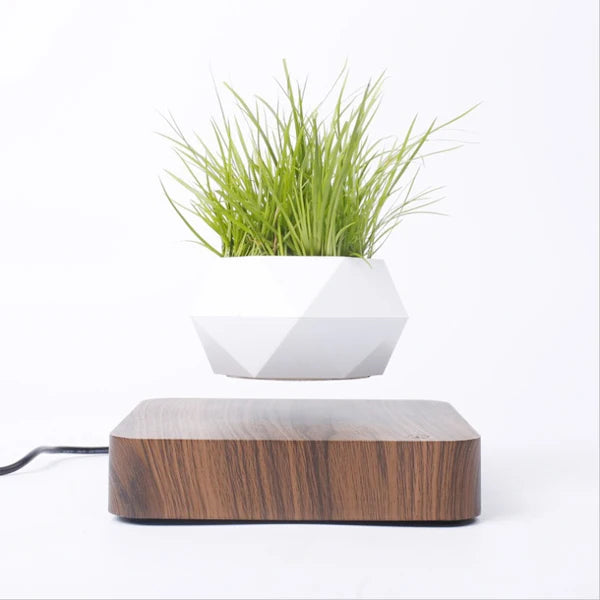 Magic Levitating Pot