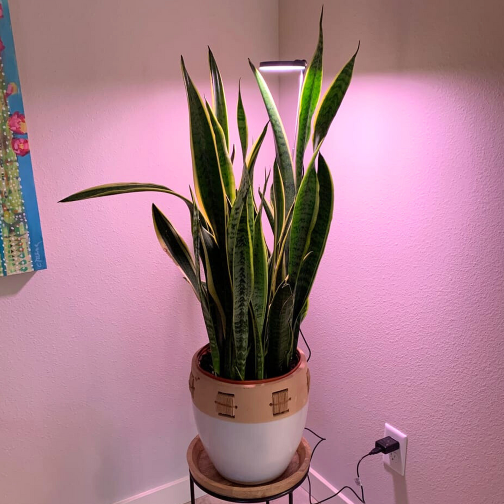 ***PRE-ORDER - 28" Adjustable LED Plant Light - Ships in 4-8 weeks