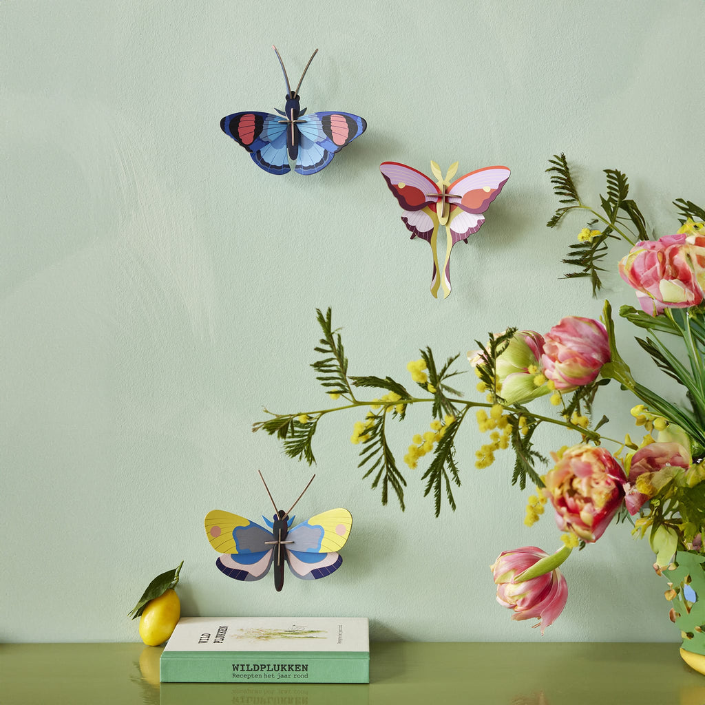 Lilac Comet Butterfly