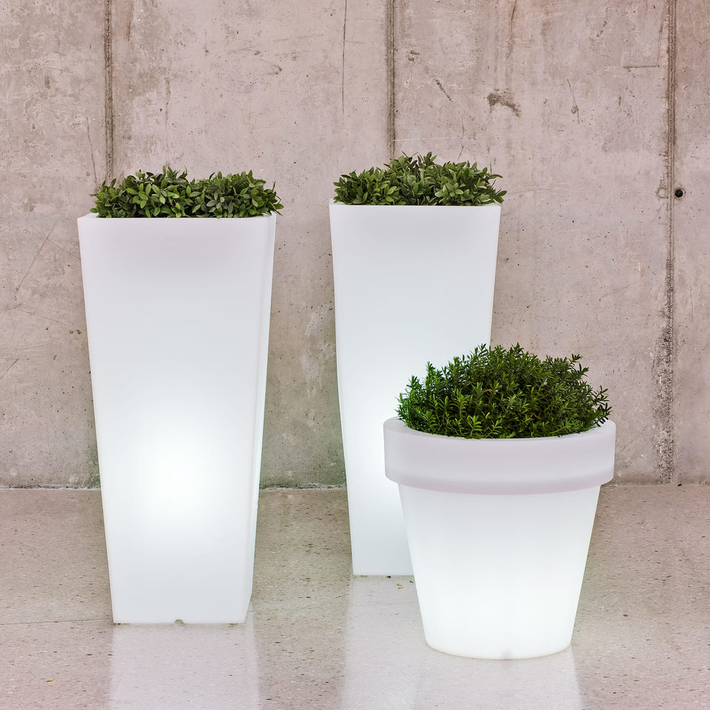 Magnolia Solar & Rechargeable