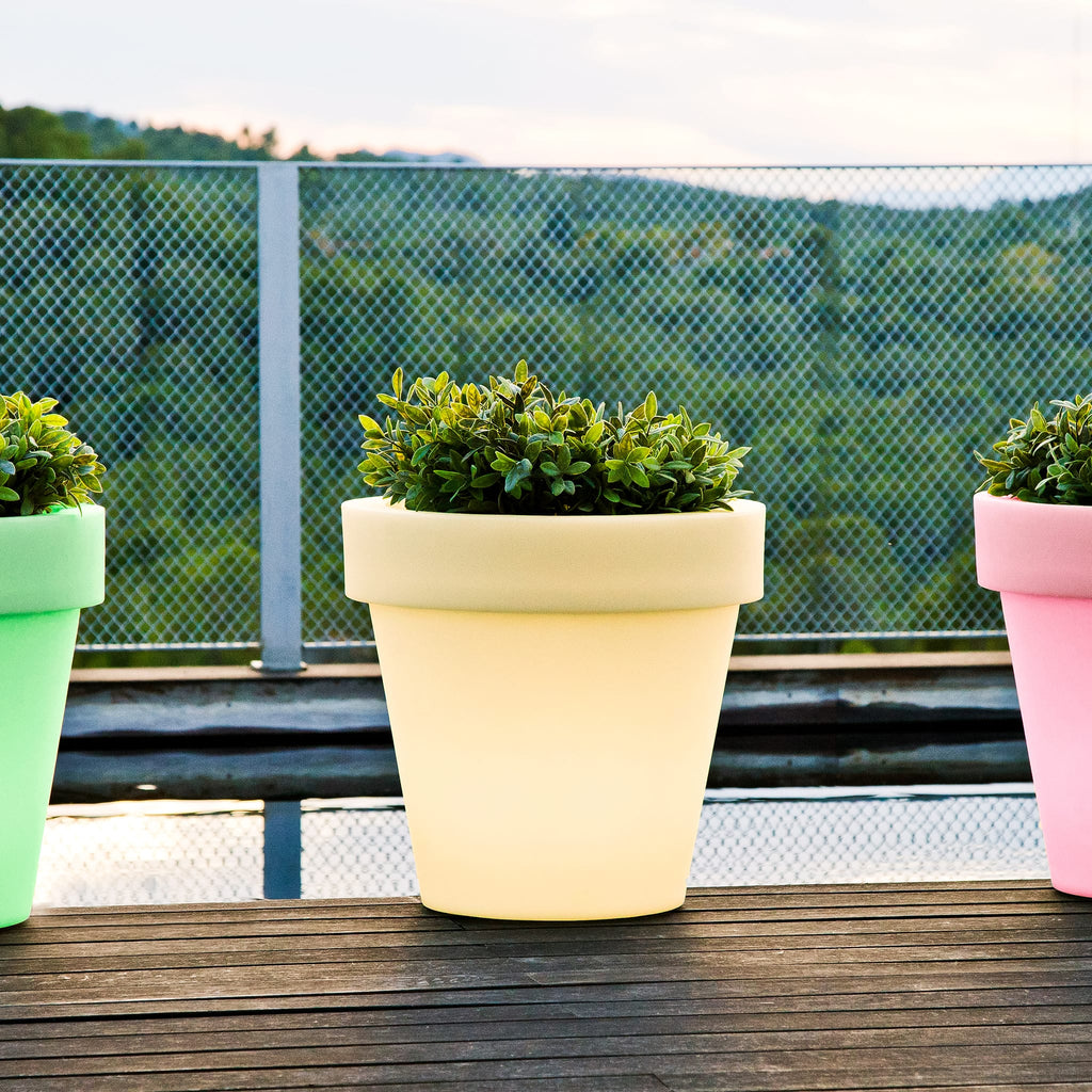 Magnolia Solar & Rechargeable