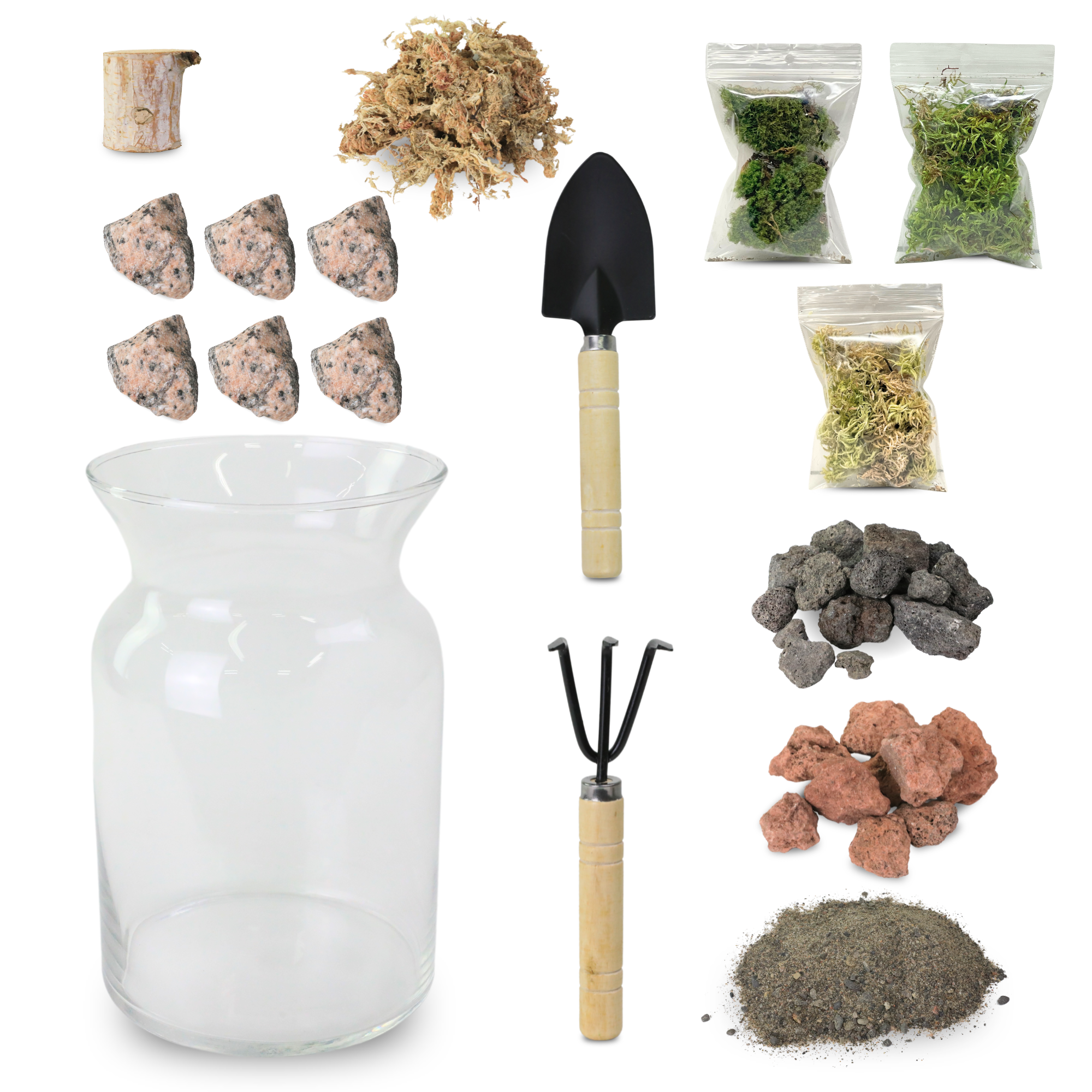 Mossify Terrarium Kit