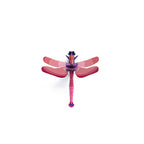 Ruby Dragonfly