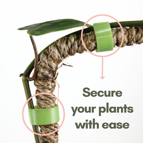 Cinta Reutilizable para Plantas