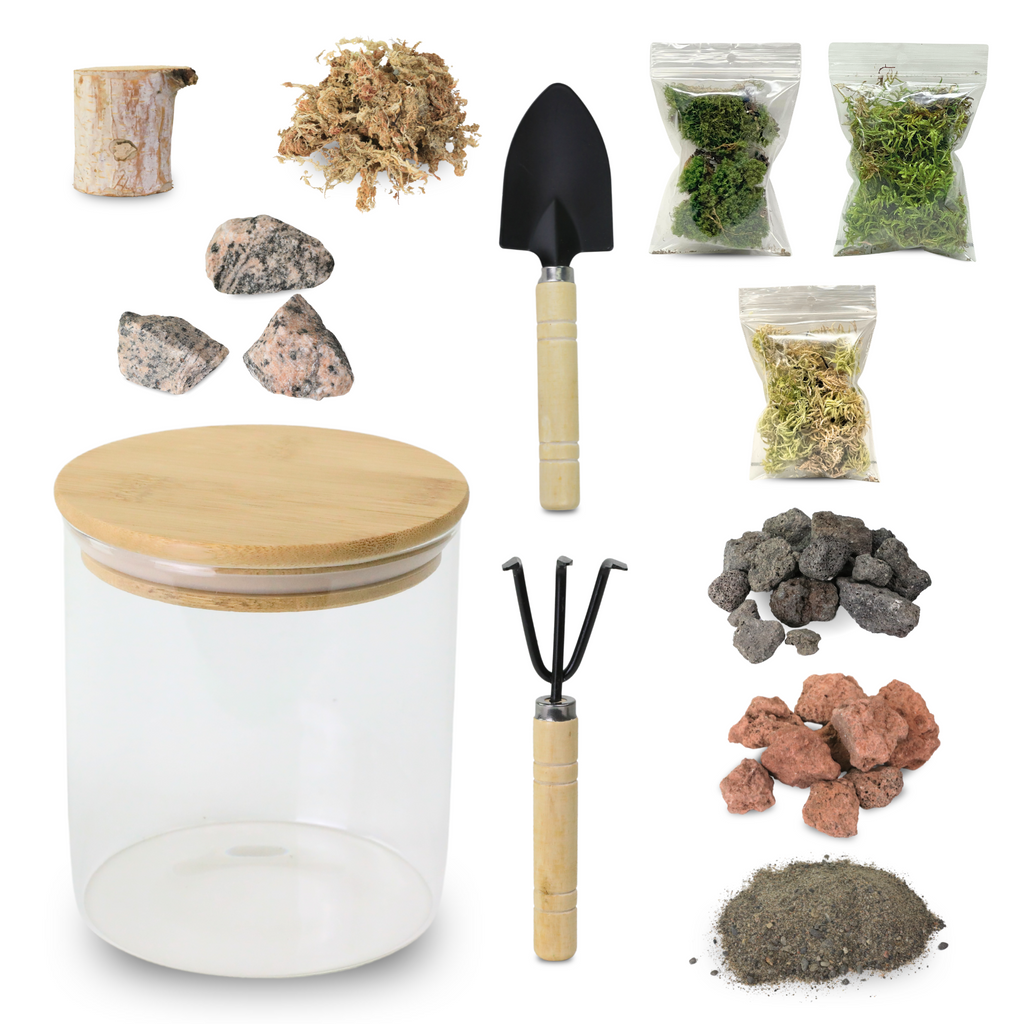 Mossify Terrarium Kit