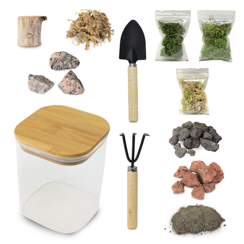 Kit de terrario Mossify