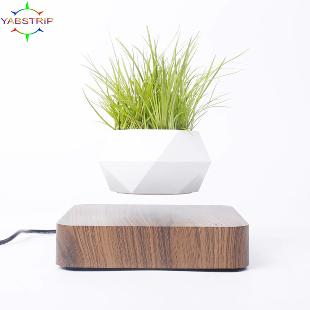 Magic Levitating Pot