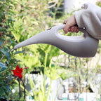 Sleek Lightweight Watering Can