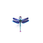 Sapphire Dragonfly